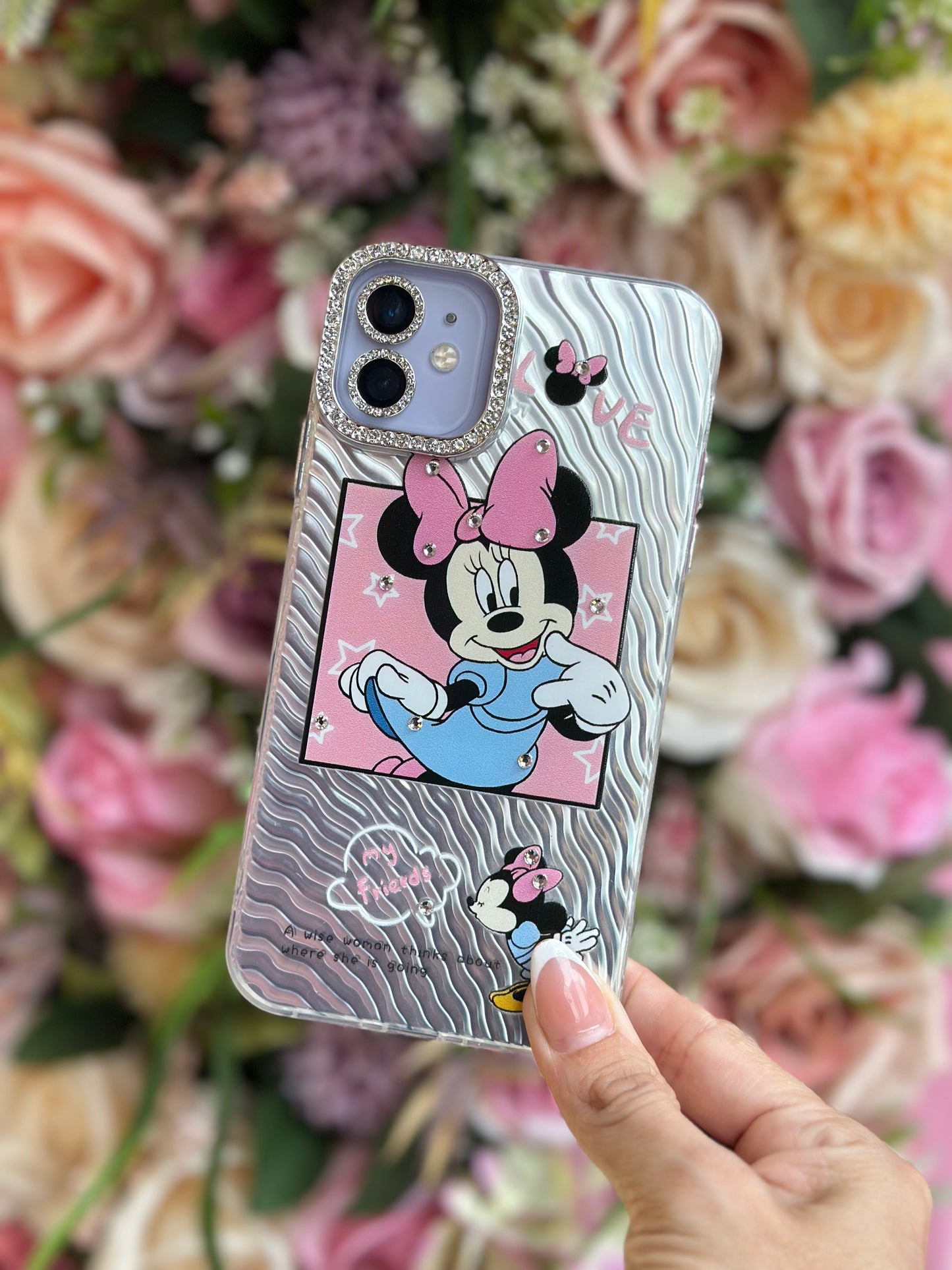 CASE DISNEY