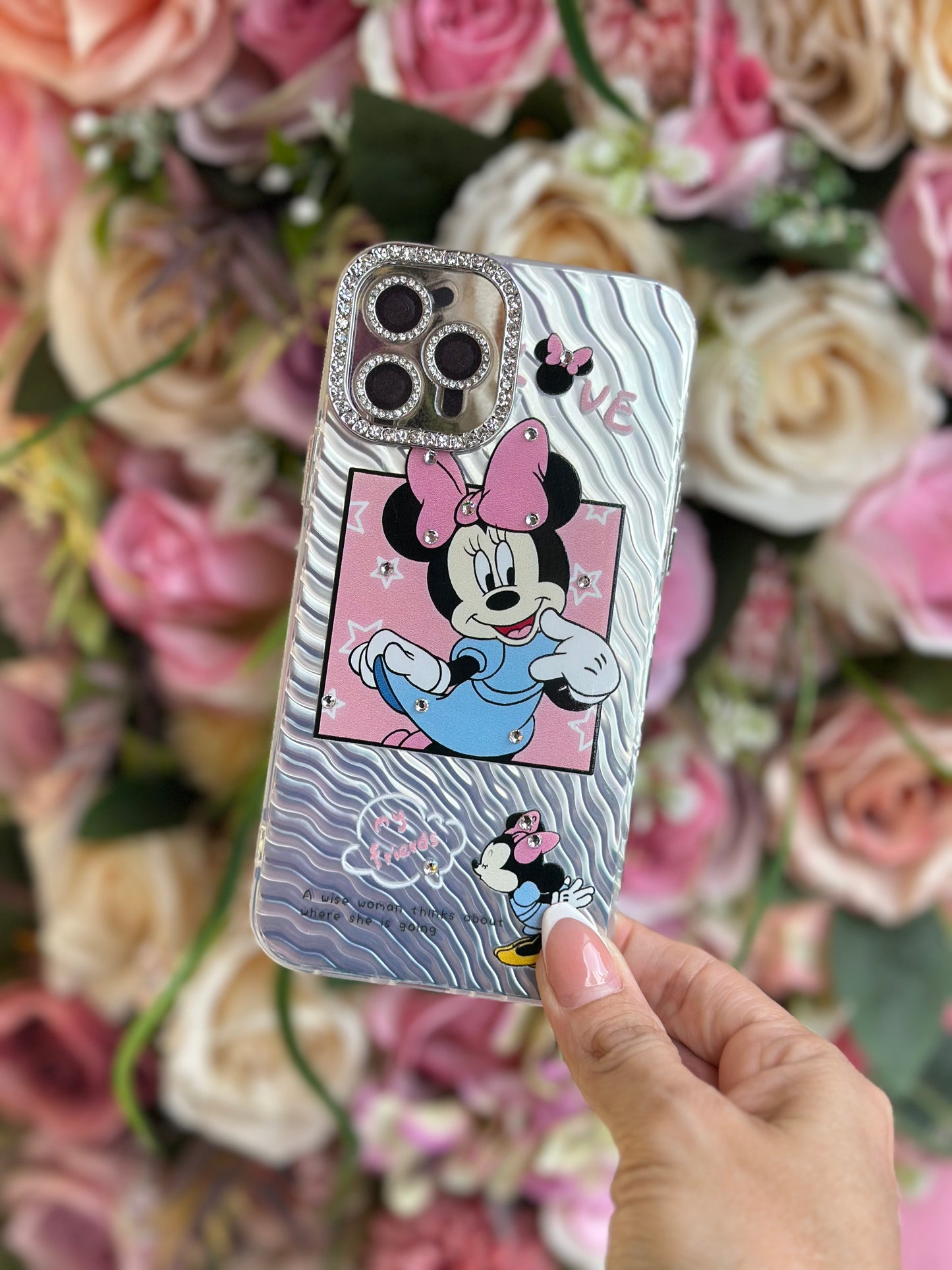CASE DISNEY