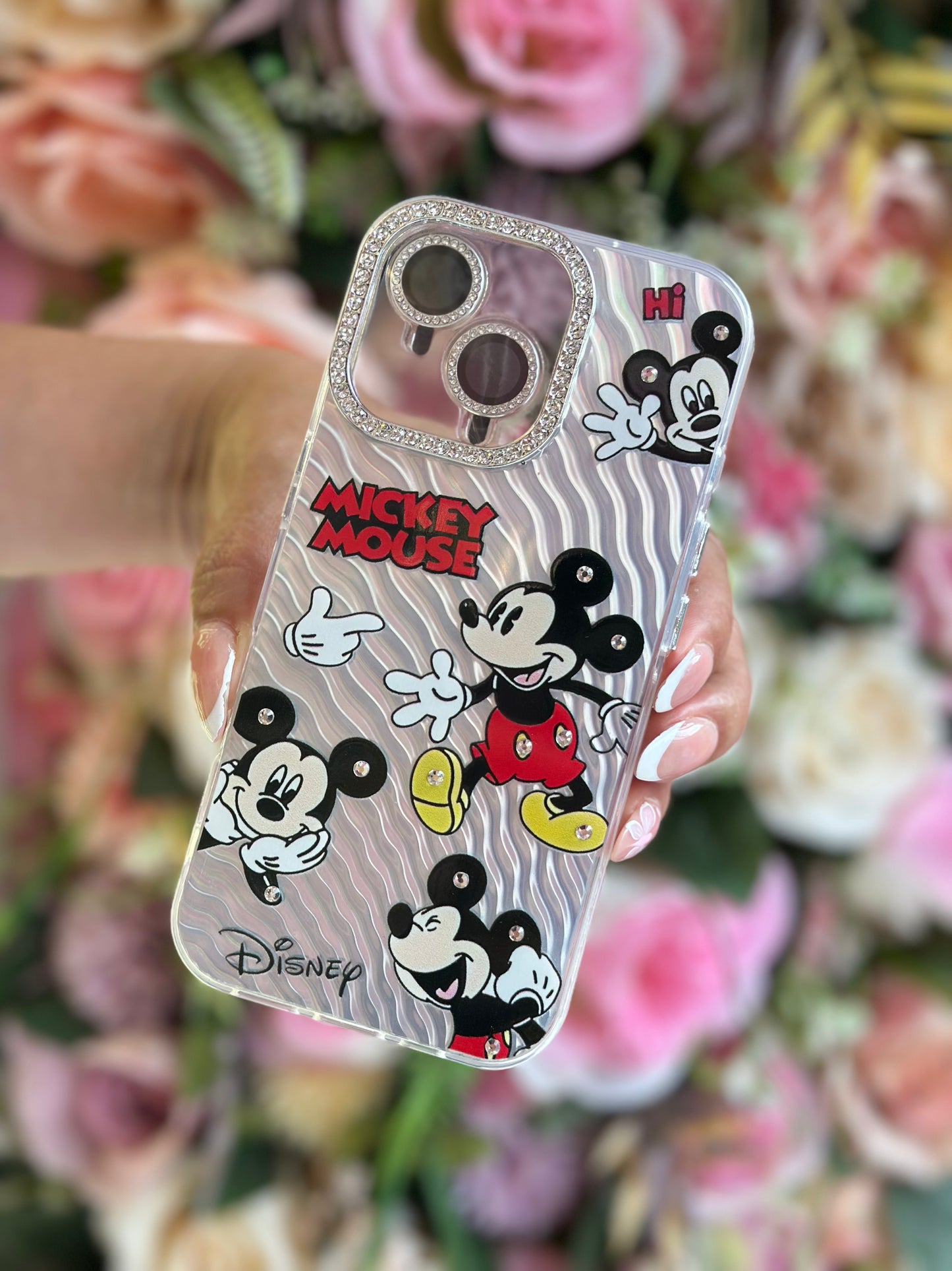 CASE DISNEY